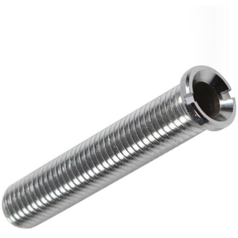 Vis pour Panier d'Evier, Tirefond Cuisine, Verrouillage Etendu pour Bassine à Vaisselle en Inox, Evacuations Fixes M12 X 70mm (Argent) (1/4)