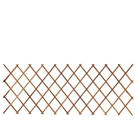 Treillis, Cadre d'escalade télescopique anti-corrosion pour mur de jardin de cour - 44x31cm 1piece - RWTreillis (1/3)