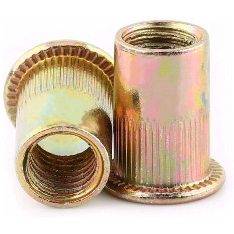 Lot de Ecrous de Rivet Insert Filetage Métrique en Acier au Carbone Zingué (M6 × 100pcs) (1/4)