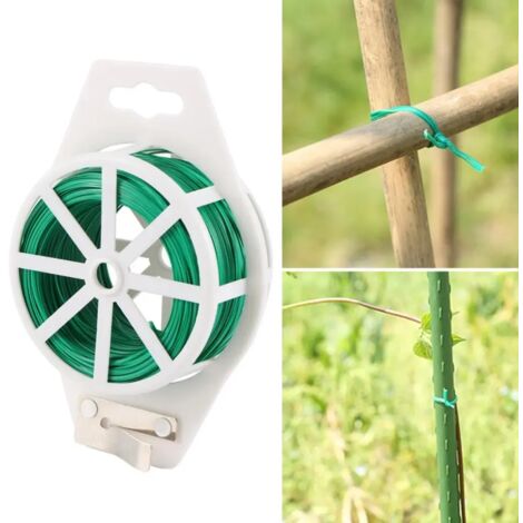 Attache Pour Plantes Grimpantes