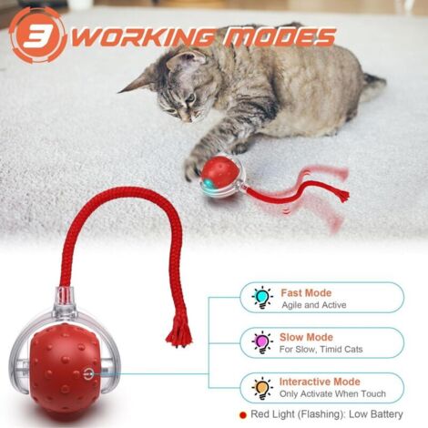 Boule à Griffes Pour Chat En Sisal Et Bois - Jouet Anti-Stress Et Grattoire - Design Anti-Dérapant