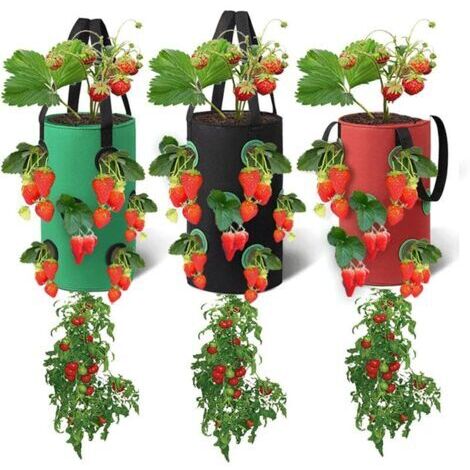 Lot de 3 sacs de plantation suspendus, à 12 trous, respirants, pour fraises, herbes aromatiques, fleurs et légumes, 20 x 35 cm (rouge, noir et vert) (1/5)