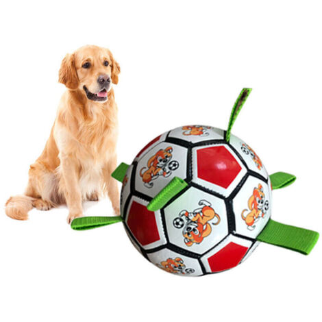 jouet de football pour morsure de chien