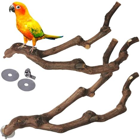 Jouet pour oiseau, Plate-Forme De Perchoir en Bois De Pommier Naturel, Supports De Branche, Accessoires De Cage à Oiseaux