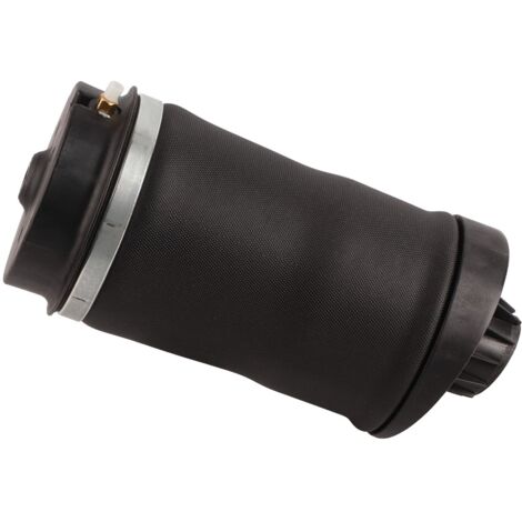 Sac à ressort de Suspension pneumatique arrière adapté pour Mercedes Benz classe R W251 2006-2013 2513200425
