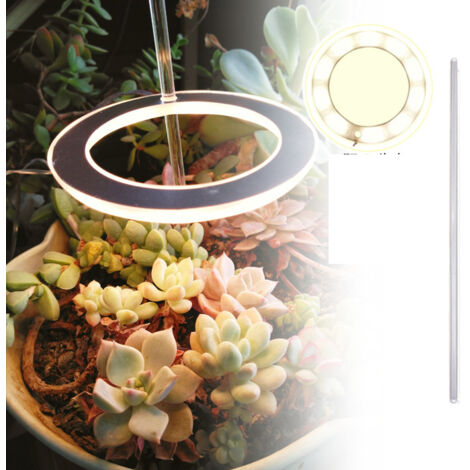 Lampe De Croissance À Led Pour Plantes D'Intérieur - Spectre Complet - Hauteur Réglable - Blanc Chaud A (1/4)