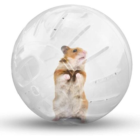 Balle de course pour rongeurs, hamsters, exercice, jouet pour la course, plastique, 12 cm, transparent (1/5)