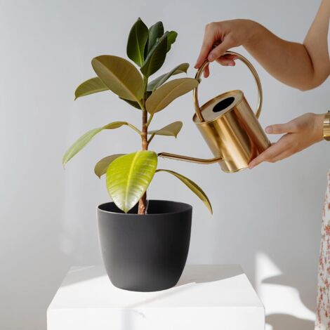 Pot De Fleurs Auto-Irrigant - Réservoir D'Eau Intégré, 12x10,5 Cm, Matériau PET/PP - Pour Plantes D'Intérieur, Bureau, Chambre