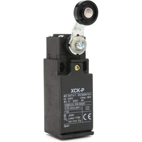 Xck-P118 Telemecanique Staubdichter Endschalter