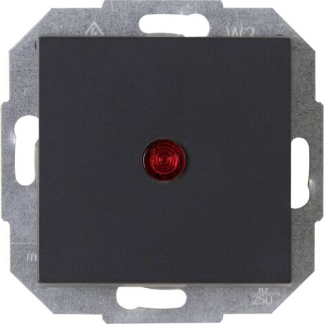 Kopp 1 pièce Insert Interrupteur avec témoin lumineux ATHENIS anthracite 588665080 1 pc(s) X706481 (1/2)
