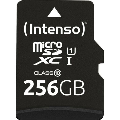 Carte microSD INTENSO Performance Line, 3424492, 256 Go (1/3)
