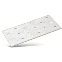 Connecteur en plaque perforée MASTERPROOF, 200x100 mm