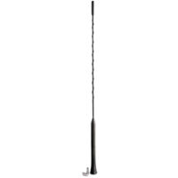 IWH Antenne universelle pour voiture, AM/FM, 400 mm, M5/M6