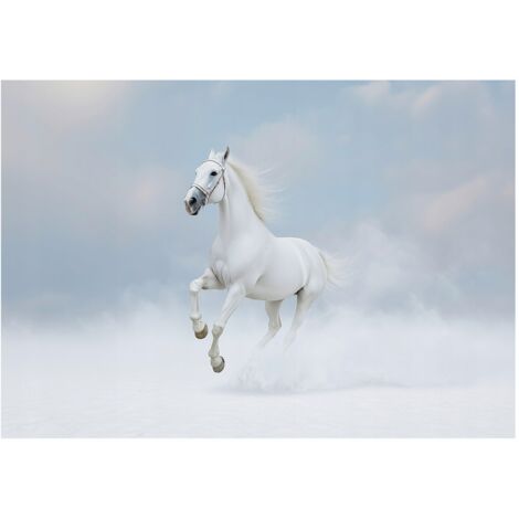 Papier peint panoramique cheval blanc nuages animaux 150x105 cm mural salon chambre petit format