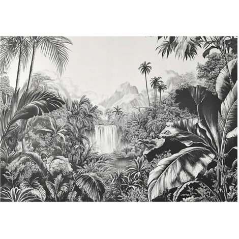 Papier peint animaux noir et blanc décoration murale pour salon – 400 x 280 cm papier peint intissé Wallarena