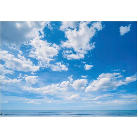 Papier peint mural ciel nuages nature intissé grand format design intérieur salon chambre pas cher 250x175 cm
