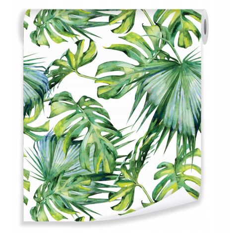 Papier peint feuilles monstera vert déco murale jungle salon chambre – rouleau 0,5 x 10 m intissé Wallarena