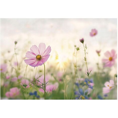 Papier peint intissé fleurs des champs, décoration murale facile à poser – 250 x 175 cm Wallarena