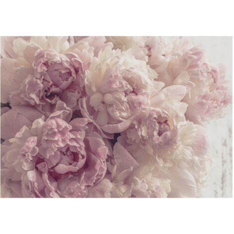 Papier peint panoramique avec des pivoines roses, décoration murale pour le salon ou la chambre à coucher – 150 x 105 cm Wallarena