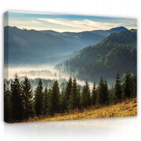 toile montagnes paysage nature fort 100x70