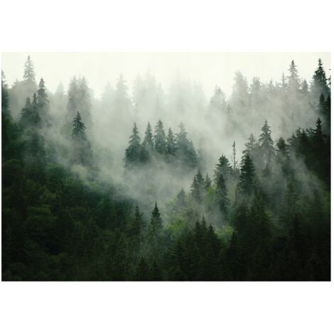 Papier peint panoramique forêt dans la brume, intissé, décoration murale – 250 x 175 cm Wallarena