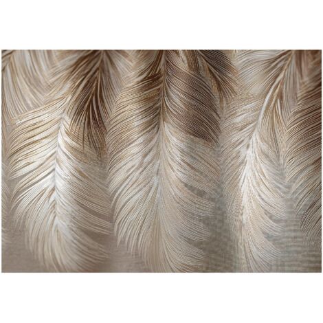 Papier peint mural plumes beige boho brun intissé grand format design intérieur salon chambre pas cher 250x175 cm