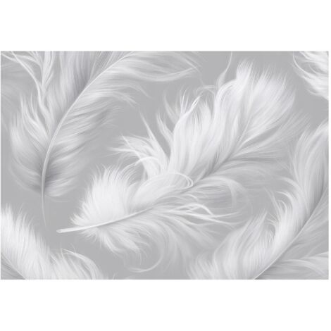 Papier peint mural plumes abstrait béton intissé grand format design intérieur salon chambre pas cher 350x250 cm