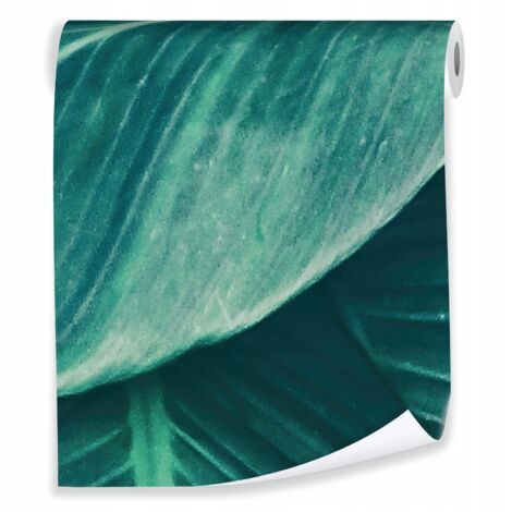 Papier peint avec des feuilles vertes, décoration murale de style nature pour le salon – rouleau 0,5 x 10 m, intissé Wallarena
