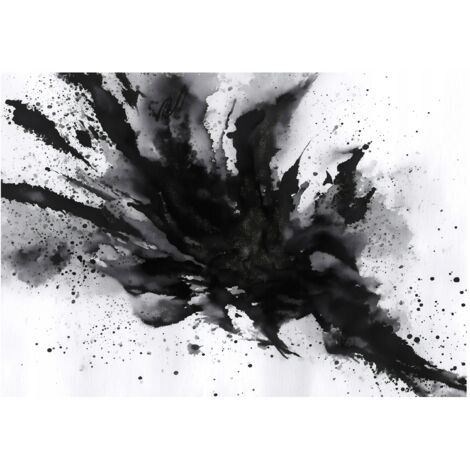 Papier peint mural abstraction noir blanc intissé grand format design intérieur salon chambre pas cher 350x250 cm (1/5)