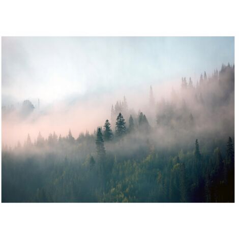 Papier peint panoramique avec une forêt dans la brume, décoration murale avec un motif naturel – 350 x 250 cm Wallarena (1/4)