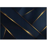 Papier peint mural abstraction dorée intissé grand format design intérieur salon chambre pas cher 350x250 cm
