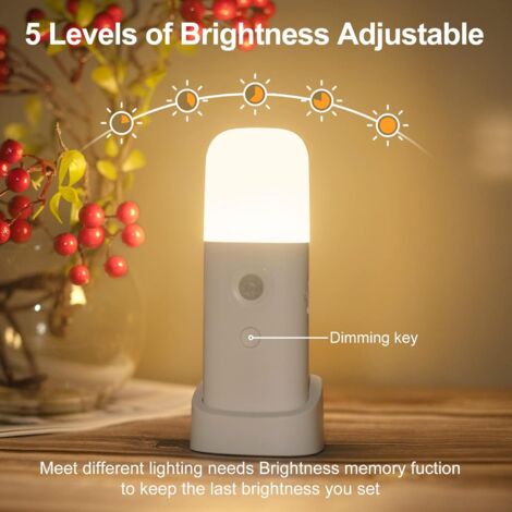 Veilleuse Avec Capteur De Crépuscule 5 Niveaux - Lumière Blanche Chaude 3000K Pour Couloirs Et Chambres