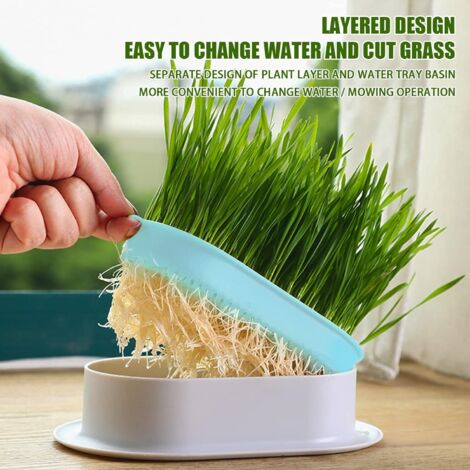 Plateau de germination de graines, 3 paquets, sans... – Grandado