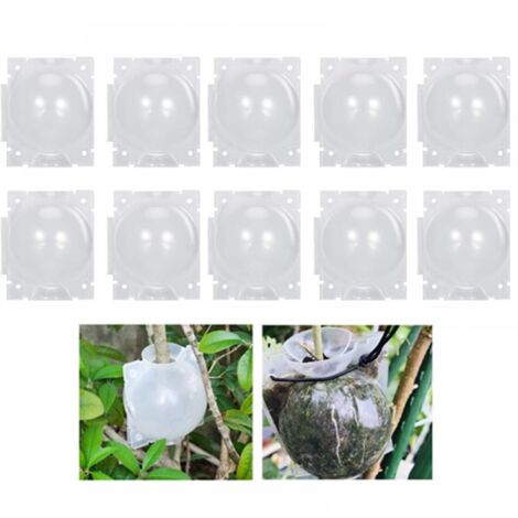 10 boules d'enracinement pour plantes - Boîte de greffe de jardin - Boîte d'enracinement pour semis - Boules de semis - 8 cm, Transparent (1/5)