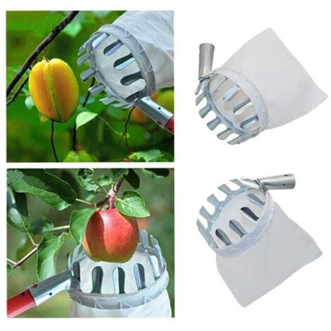 2 pièces en métal cueilleur de fruits verger jardinage pomme pêche haut arbre outils de cueillette attrape-fruits collecteur outils de jardinage-15CM