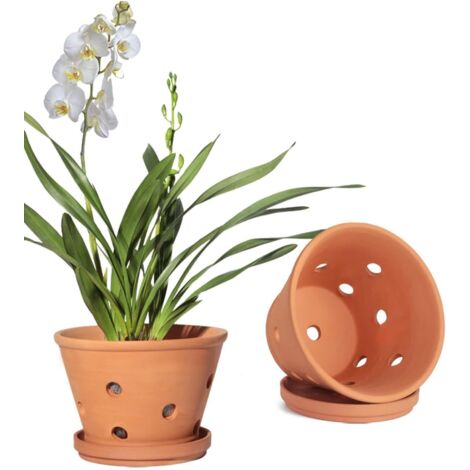 Lot de 2 grands pots de rempotage en argile-Pots à orchidées en terre cuite de 20 cm avec trous de drainage et soucoupes (1/4)