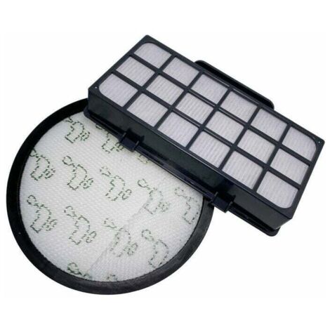 Filtres pour Rowenta X-Trem Power Cyclonic RO6984EA RO6941EA RO6963EA RO6921EA RO6971EA RO6993EA (Modèle RO69XX) Aspirateurs, Filtre de Rechange Accessoires ZR006001 (Lot de 2)