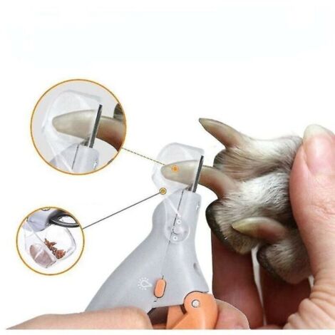 Ciseaux pour coupe-ongles - Professionnel - Chien - LED - Acier inoxydable - Anti-éclaboussures