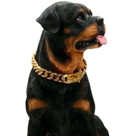 Collier en pour Chien en Or avec Boucle de Conception sécurisée, résistant à la Mastication(Or, 18\'\')