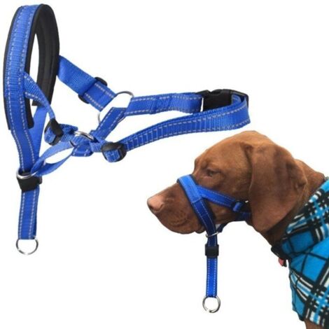 Licol pour chien avec tissu rembourré, collier pour chien, XL