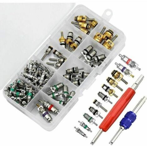 102Pcs Noyau Valve Climatisation R134A Pour voiture couleurs multiples