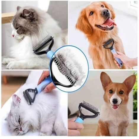 (Aléatoire) ciseaux coupe noeud chien chat
