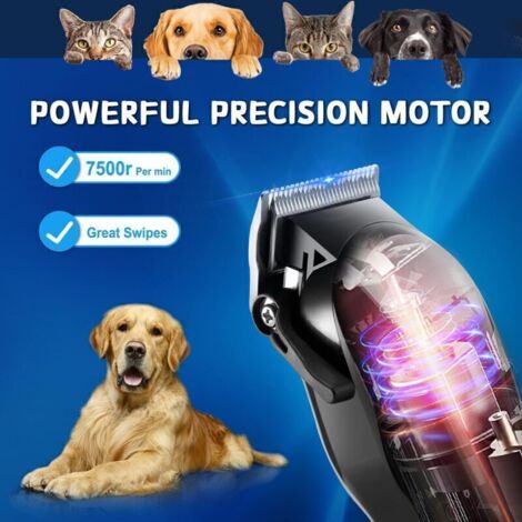 Tondeuse Chien Professionnelle,Tondeuse Chien Poil Long Epais Electrique sans Fil Kit,Tondeuse Animaux Chien Chat Professionnelle,Pet Grooming Kit,Lame Tranchante Sûre,Faible Bruit,Écran LCD,de Trywis (1/3)