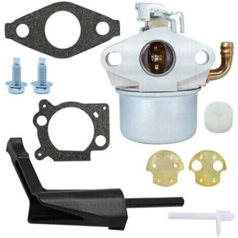 Carburateur Briggs & Stratton pour 214706 214706T 215369 215434 792970 020382