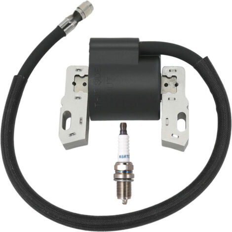 Bobine d'Allumage avec Bougie Incluse - Compatible Réf. 490586, 495859, 491312, 715231 (1/3)