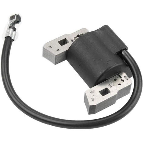 Pièces Briggs & Struts 397358 697037 395490 298316 395491 Kit bobine d'allumage haute tension