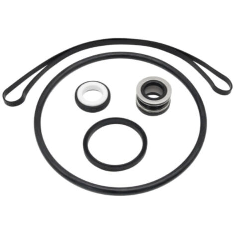 Kit de Réparation de Joints MEFONKOU pour Pompe de Piscine Série SP3000X – Inclut Joint d'Arbre SPX1600 – Étanchéité Garantie (1/4)
