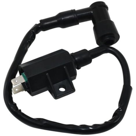Bobine d'Allumage Kawasaki 21121-1160 21121-1198 pour KLF220 - Quad - Haute Tension - Pièce d'Origine (1/4)