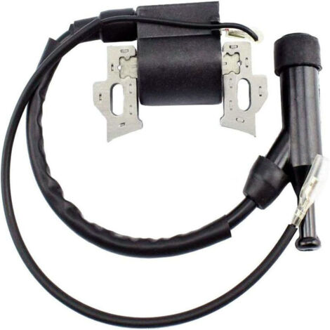 Bobine d'Allumage - Références 797343, 590603 - Compatible avec Moteurs CR750, CR950, XR550, XR750, XR950 (1/3)