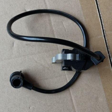 Bobine d'allumage DMC621 EB650 (Dispositif d'allumage à bobine d'allumage pour transformateur haute tension) (1/3)